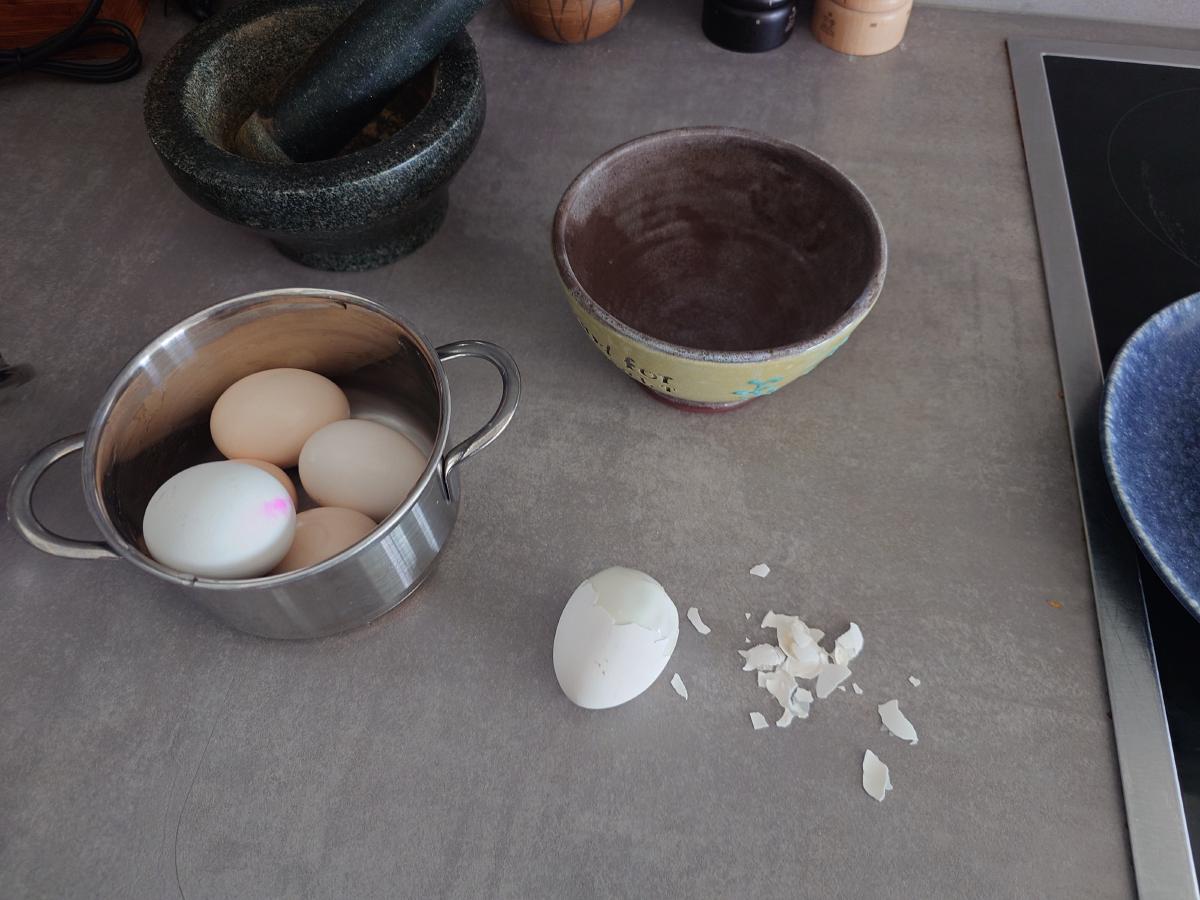 Boiled eggs in the pot, one peeled with the shells