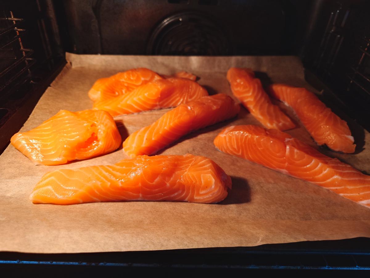 Eight pieces of rinsed salmon on parchment in the oven