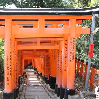 Japan thumbnail