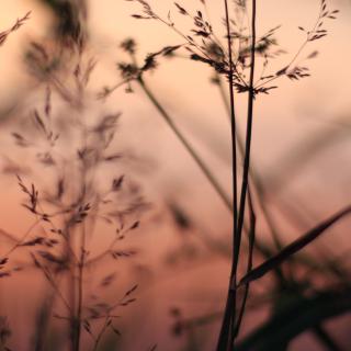 Natur thumbnail